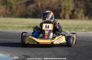 DSC_0035 (2)